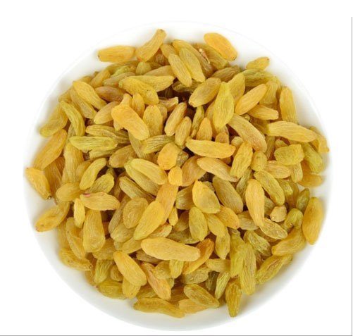 Raisin Sunderkhani